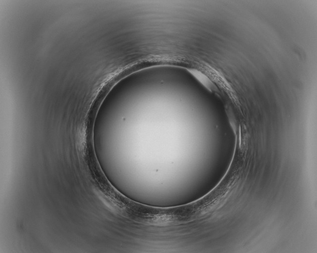 X0000113200204200909171520