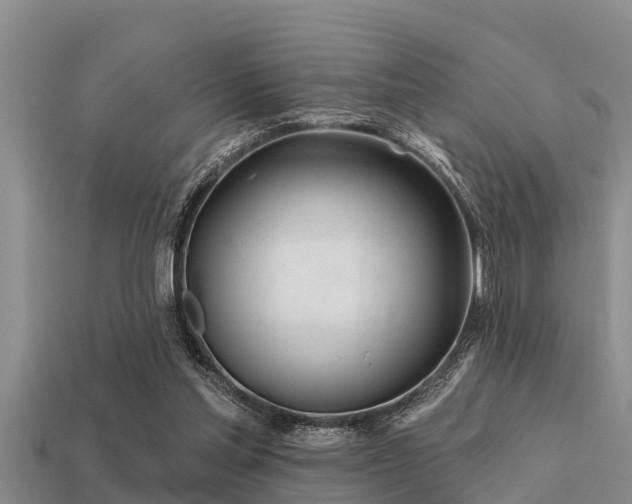 X0000113200205200909171520