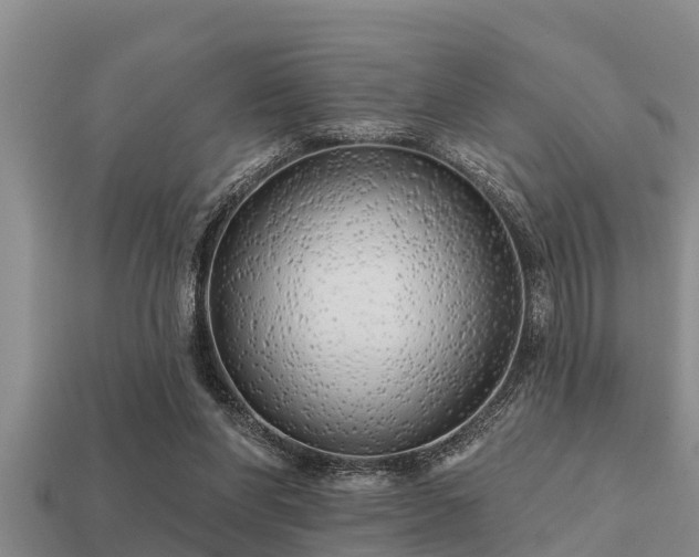 X0000113200206200909171520