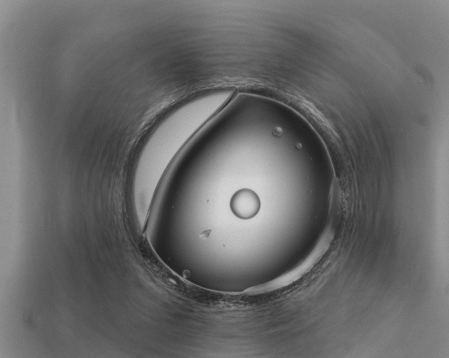 X0000113200207200909171520