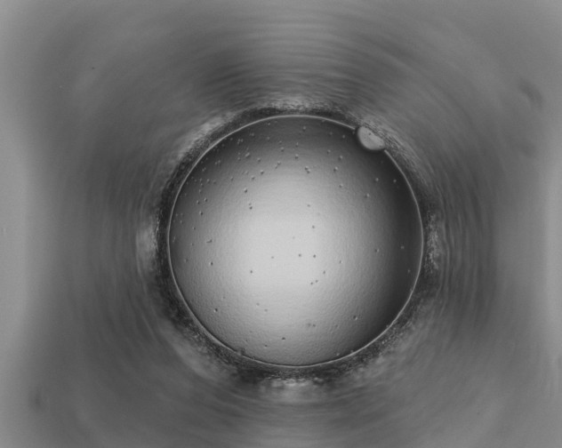 X0000113200208200909171520