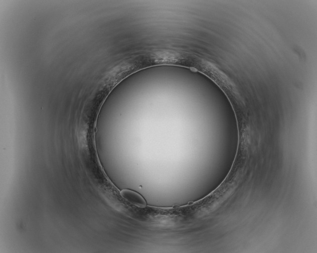 X0000113200209200909171520