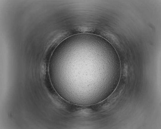 X0000113200210200909171520