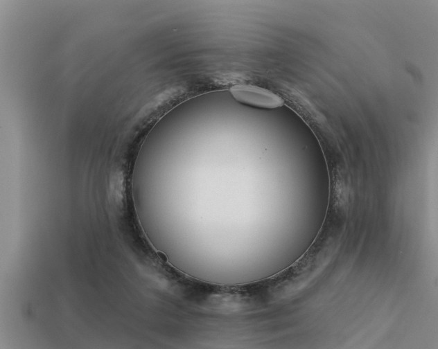 X0000113200211200909171520