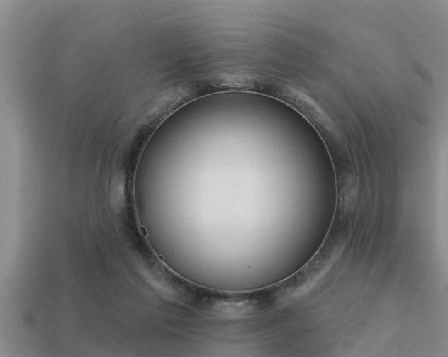 X0000113200213200909171520