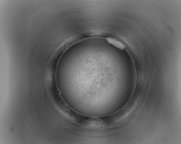 X0000113200215200909171520