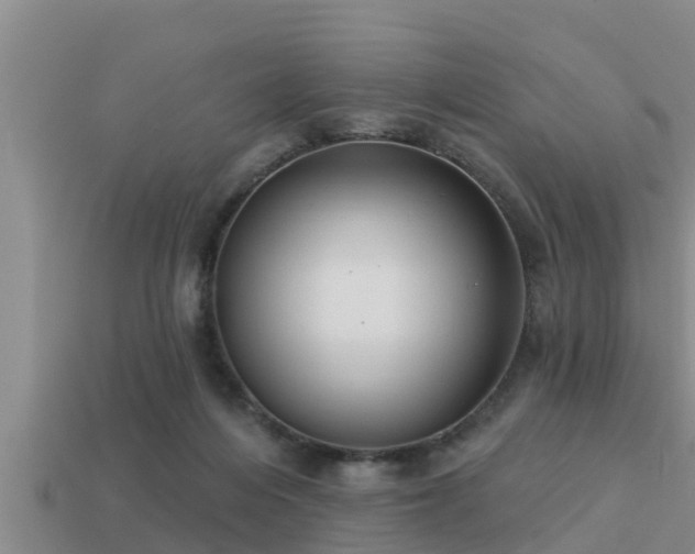 X0000113200216200909171520