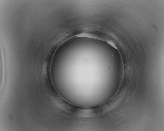 X0000113200217200909171520