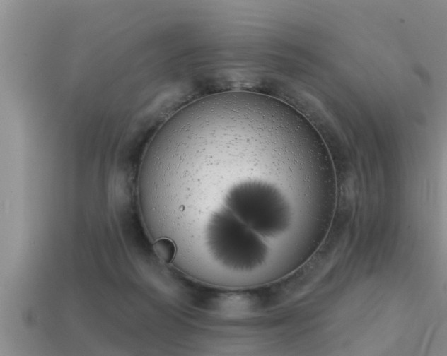 X0000113200218200909171520