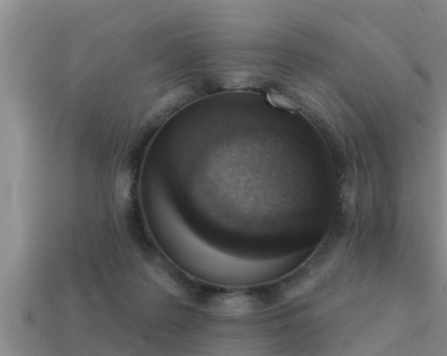 X0000113200219200909171520