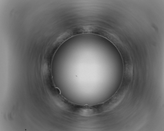 X0000113200220200909171520