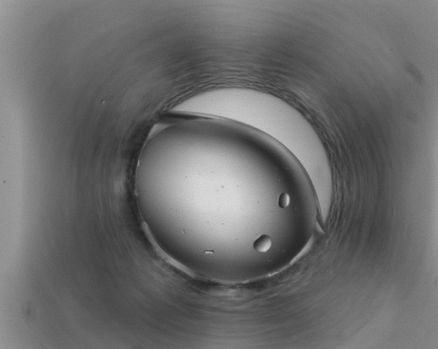 X0000113200221200909171520