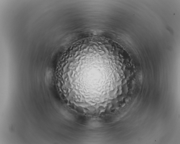 X0000113200222200909171520