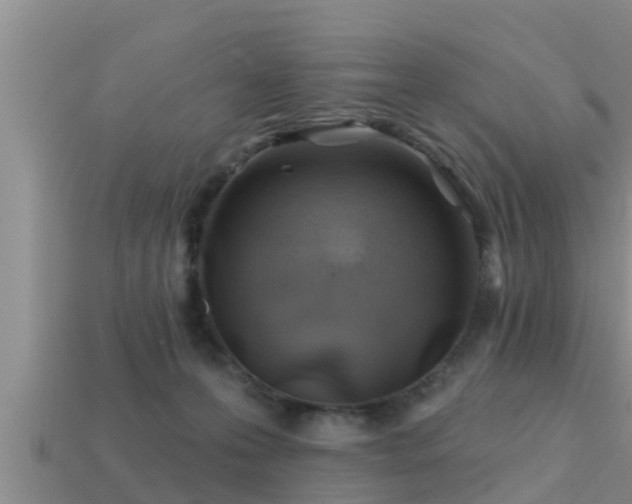 X0000113200223200909171520