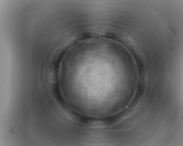 X0000113200224200909171520