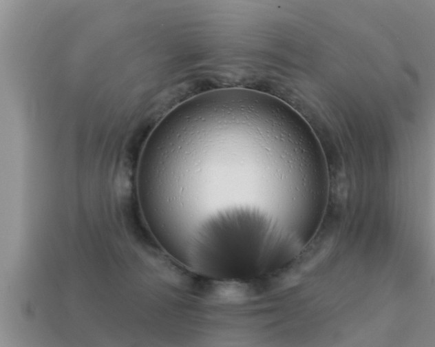X0000113200226200909171520