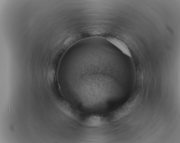 X0000113200227200909171520