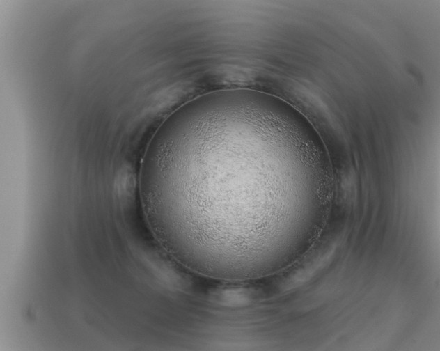 X0000113200228200909171520