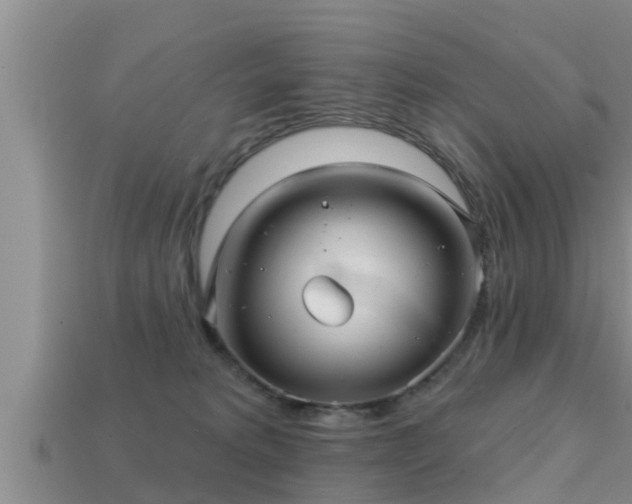 X0000113200229200909171520