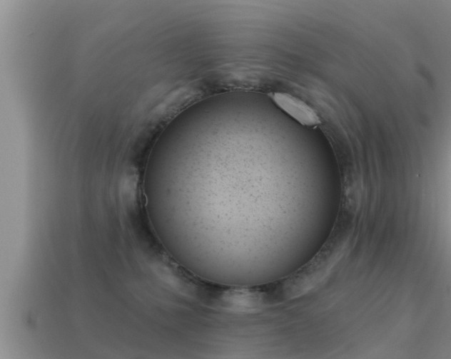 X0000113200231200909171520