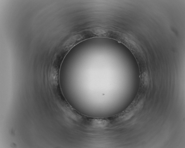 X0000113200234200909171520