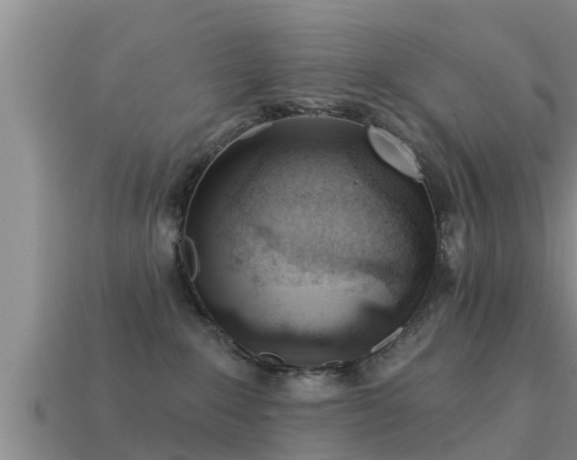 X0000113200235200909171520