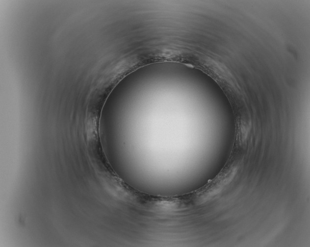 X0000113200236200909171520