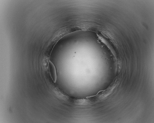 X0000113200237200909171520