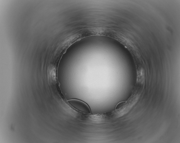 X0000113200238200909171520