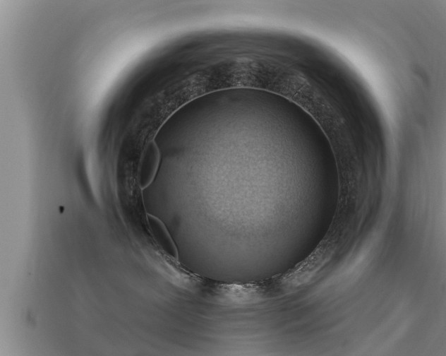 X0000113200239200909171520