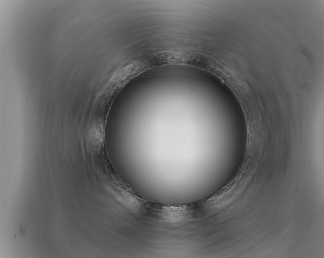 X0000113200240200909171520