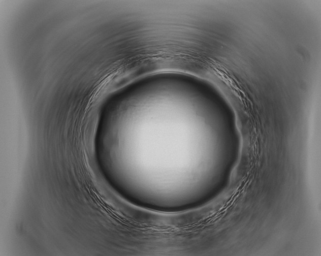 X0000113200241200909171519