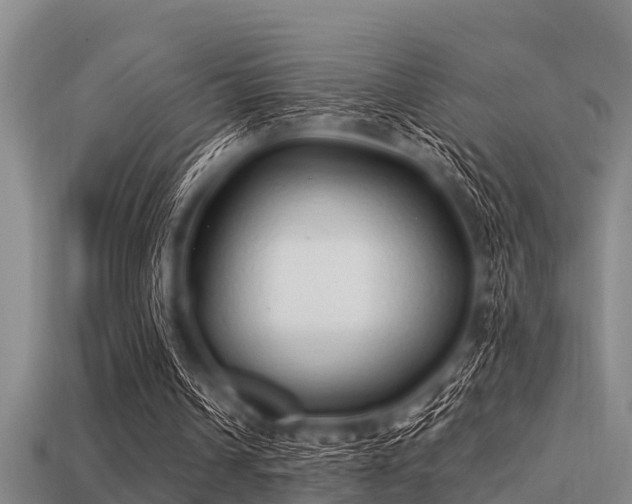 X0000113200242200909171519