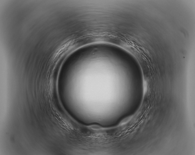 X0000113200243200909171519