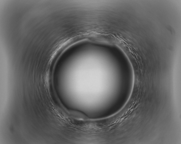 X0000113200244200909171519