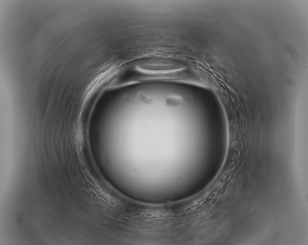 X0000113200245200909171519