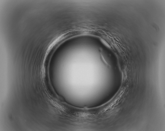 X0000113200246200909171519