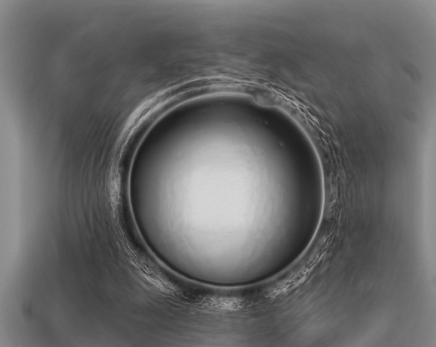 X0000113200247200909171519