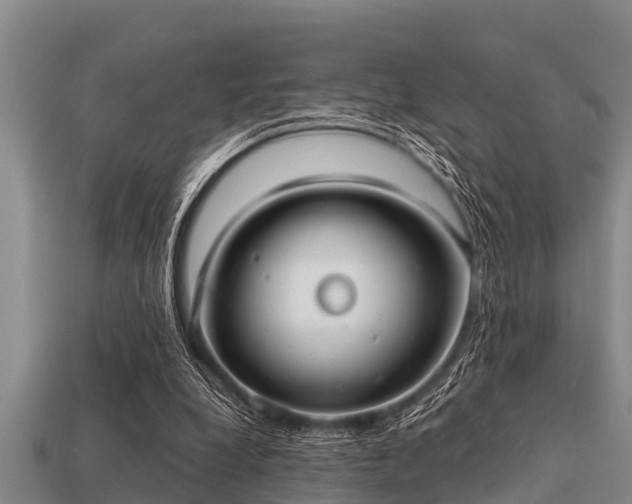 X0000113200248200909171519