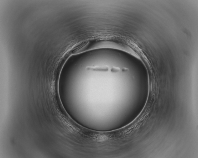 X0000113200249200909171519