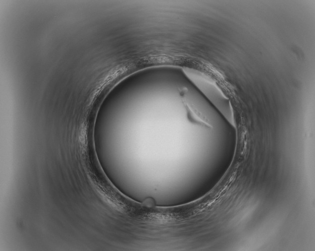 X0000113200250200909171519