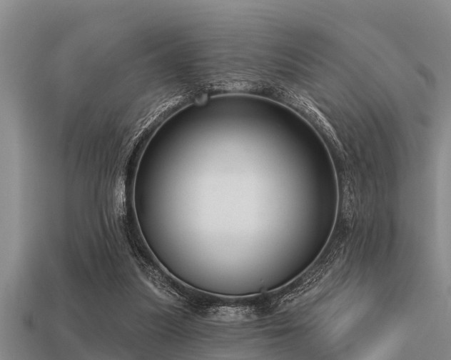 X0000113200251200909171519