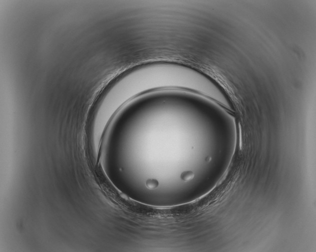 X0000113200252200909171519