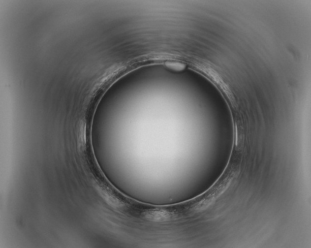 X0000113200253200909171519