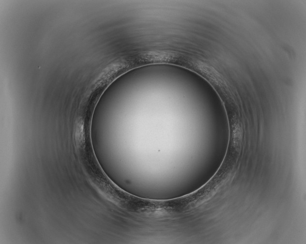 X0000113200254200909171519