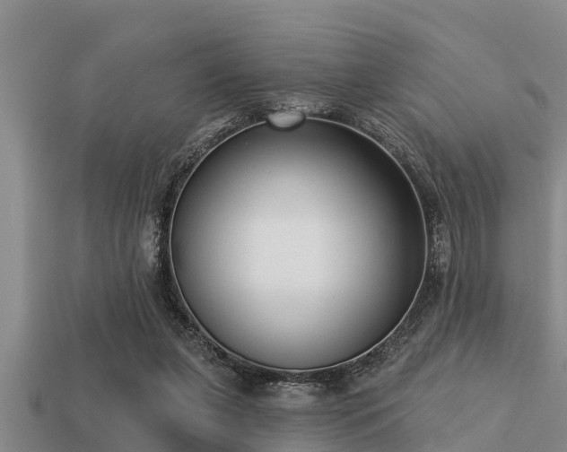 X0000113200255200909171519