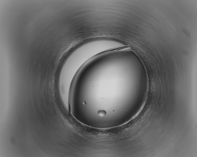 X0000113200256200909171519