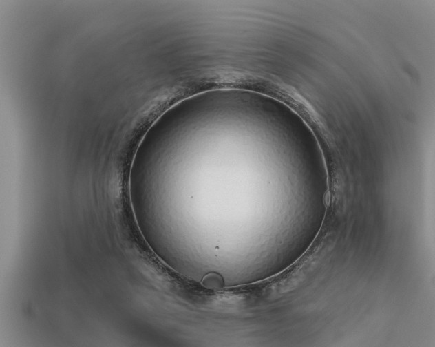 X0000113200257200909171519