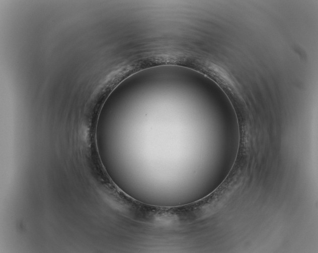 X0000113200258200909171519