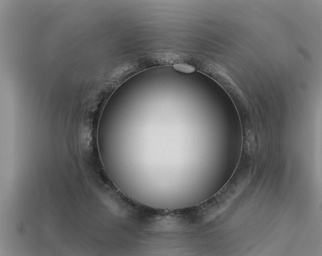 X0000113200259200909171519